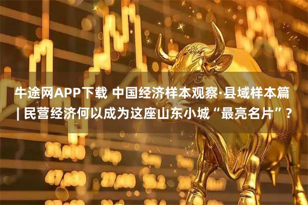牛途网APP下载 中国经济样本观察·县域样本篇 | 民营经济何以成为这座山东小城“最亮名片”？