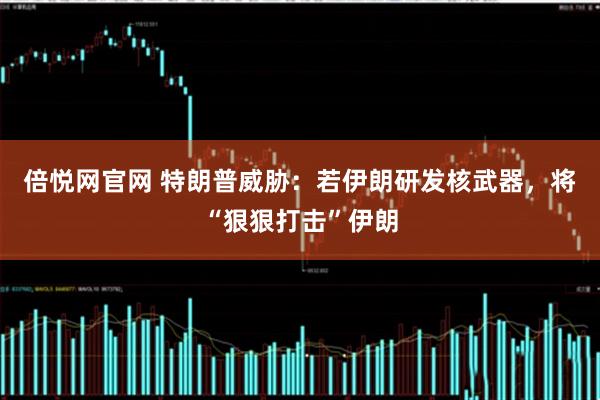 倍悦网官网 特朗普威胁:若伊朗研发核武器,将“狠狠打击”伊朗